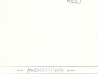 213-01_lied_Lieder%20zu%20Ehren%20des%20hochwu%CC%88rdigsten%20Altar%3DSakramentes%20und%20zu%20Ehren%20des%20allerheiligsten%20Namens%20Jesu%20und%20am%20heiligen%20Fronleichnamsfeste.%20%28Ihr%20Kreaturen%20kommet%20all%C2%B4%20zusammen%29.pdf