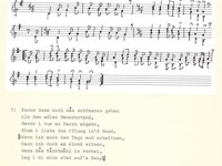 220-022_lied_Kanns%20denn%20noch%20was%20scho%CC%88neres%20geben.pdf