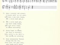 220-031_lied_Wann%20i%20wischpl%20und%20schrei.pdf