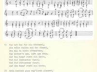 220-032_lied_Was%20ist%20das%20fu%CC%88r%20ein%20Getu%CC%88mmel.pdf