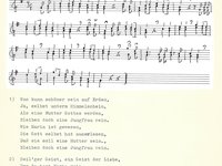 220-033_lied_Was%20kann%20scho%CC%88ner%20sein%20auf%20Erden.pdf