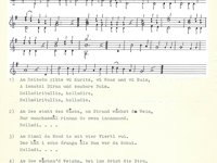 220-036_lied_Am%20Heibodn%20gibts%20vu%CC%88%20Kuritz.pdf