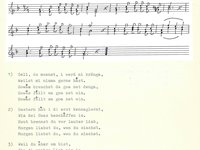 220-057_lied_Gell%2C%20d%20moanst%2C%20i%20werd%C2%B4%20mi%20kra%CC%88nga.pdf