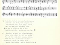 220-061_lied_Mein%20Schatz%20hat%20mir%20den%20Abschied%20gebn.pdf