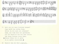 220-062_lied_Soll%20ich%20dir%20mein%20Liebchen%20nennen.pdf