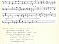 220-077_lied_Bein%20Bergal%2C%20da%20stenga%20zwoa%20Tannabam.pdf