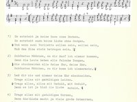 220-078_lied_Es%20entsteht%20ja%20keine%20Rose%20ohne%20Dornen.pdf