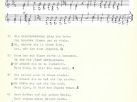 220-079_lied_Ein%20Scha%CC%88ferma%CC%88dchen%20ging%20ins%20Gru%CC%88ne.pdf