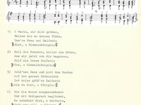 220-126_lied_O%20Maria%2C%20wir%20dich%20gru%CC%88%C3%9Fen.pdf