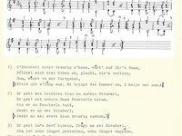 220-128_lied_S%60Diandal%20sitzt%20traurig%20z%60haus.pdf