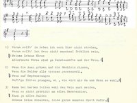 220-130_lied_Warum%20sollt%20im%20Leben.pdf