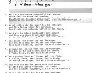222-28_lied_Weil%20wir%20vor%20diesem%20Gnadenbild%20hier%20stehen.pdf