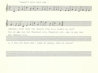 228-21_lied_Deand%60l%20bist%20hab%20oda.pdf