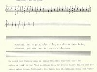 228-28_lied_Mariandl%2C%20sei%20so%20guit.pdf