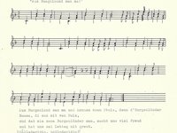 229-04_lied_Aus%20Buagnlound%20san%20ma.pdf