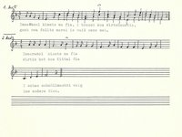 229-11_lied_D%60Wirtshaustia.pdf