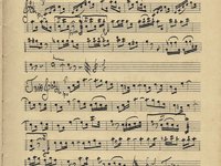 233-11_Polka_Heiratsschwindler.pdf