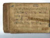 234-04_Polka_Alpenblu%CC%88mchen.pdf