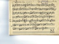 235-013_Polka_Gedenke%20mein.pdf