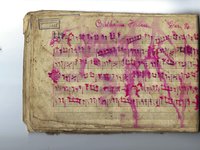 235-118_Walzer_Piribauer.pdf